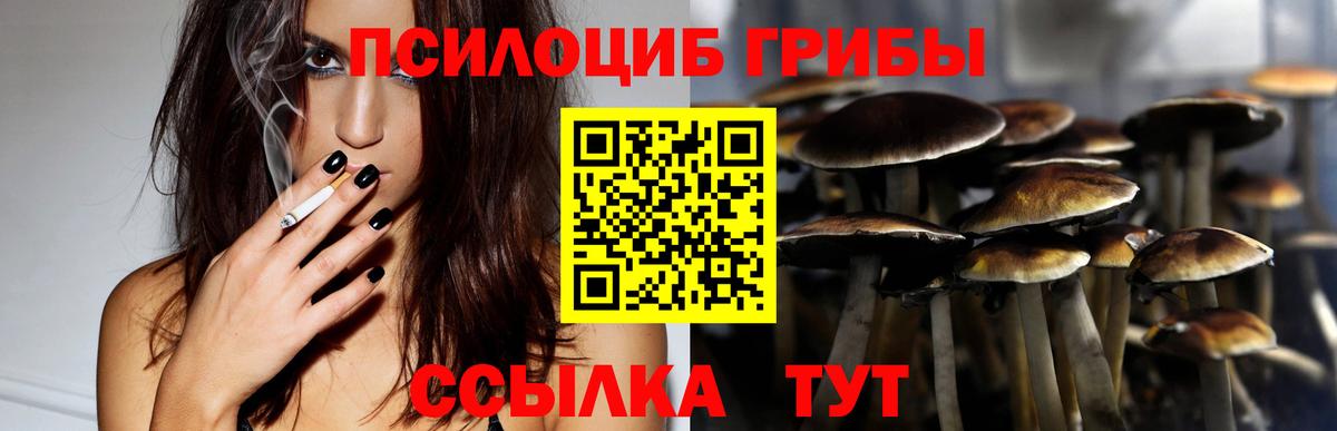 Советская Гавань  Псилоцибиновые грибы ЛСД  Вход с VPN 